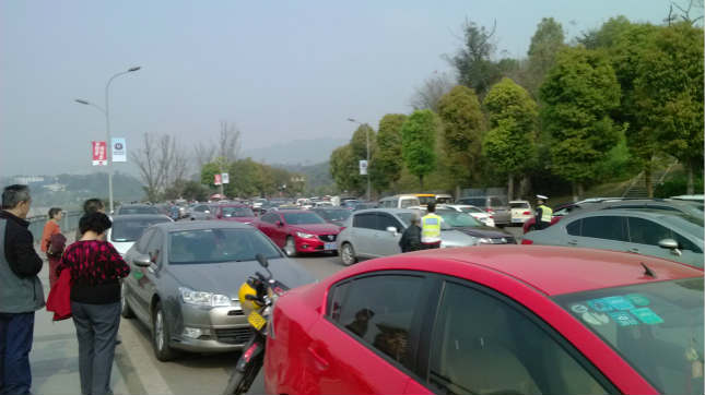 李家沱巴濱路春游01