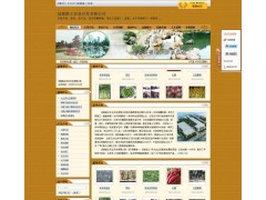 666元低價網站建設服務3