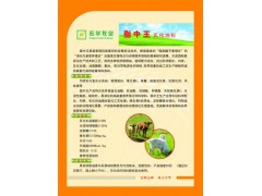 脂中王乳化油粉怎么樣