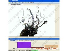 植物根系分析儀的分析原理