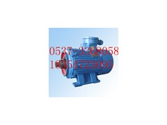 濟寧國龍正品YBJ55-4型電機