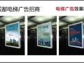 望電梯內外  全是小廣告