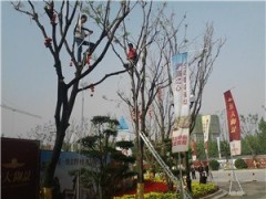 西安市節(jié)慶裝飾|西安市節(jié)慶裝飾策劃|西安市節(jié)慶裝飾策劃公司|金城供