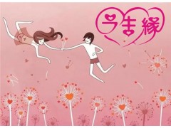 東山區婚介中心_東山區單身相親_東山區相親網_今生緣供