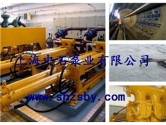 餐廚垃圾泵直銷/上海中石泵業(yè)/餐廚垃圾泵銷售報(bào)價(jià)