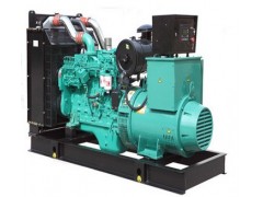 康明斯柴油發(fā)電機(jī)廠家 康明斯柴油發(fā)電機(jī)代理價 上海君東供