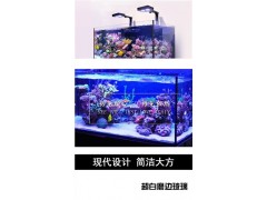 提供魚缸清潔、造景、租賃等專業服務的上海一川水族，是您的優先