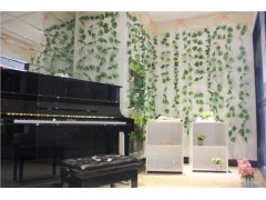 電子鋼琴多少錢 上海電子鋼琴價格 電子鋼琴廠家 嘉德威供