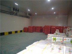 提供上海冷鏈倉庫的價格 滬黽踏實報價