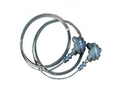 鎧裝熱電阻廠家哪家好