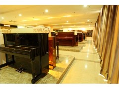 武漢少兒鋼琴 少兒鋼琴價格 少兒鋼琴品牌哪個好 嘉德威供