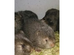 都是團購價銷售