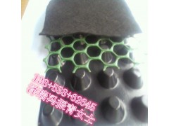 廊坊&滄州車庫檢測合格排水板（聚乙烯塑料環(huán)保排水板）