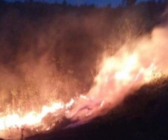 重慶墊江高安一村民焚燒稻草 引發山林火災