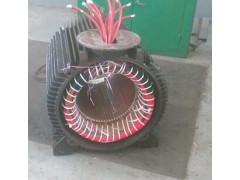 威海交流電機維修