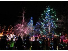 重慶彩燈安裝公司大量接單中