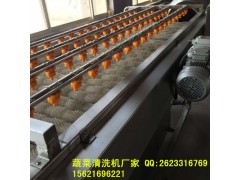 畢節(jié)蘿卜清洗機(jī) 毛刷式蘿卜清洗機(jī)報(bào)價(jià)