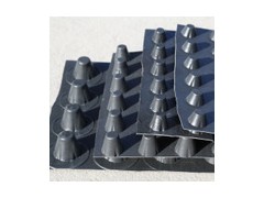 【湛江聚乙烯2公分排水板排水板站長推薦】價(jià)格,廠家