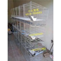 鳥籠 鴿籠 兔籠 狗籠 雞籠 鵪鶉籠 鷓鴣籠 兔子籠 鴿子籠 雞鴿兔籠 養(yǎng)殖網(wǎng)片