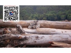 澳洲卡里木 桃花心木卡里木材一手貨源批發商