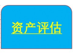 企業(yè)價值評估如何執(zhí)行呢。