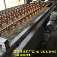 泗河洋蔥清洗機 洋蔥清洗去皮設備廠家