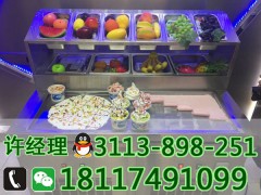 炒酸奶機哪個品牌好2019創業項目