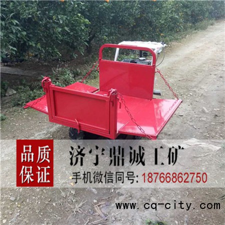 10 汽油履帶式運輸車 (7)