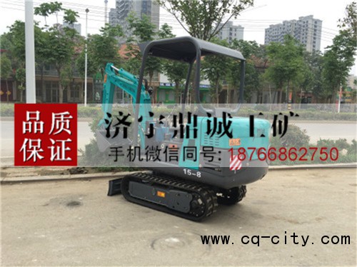 2 15履帶式挖掘機 (2)