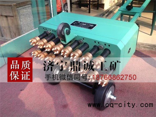 18 鑿毛機(jī) (4)