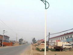 石家莊農(nóng)村太陽能路燈,石家莊5米6米路燈桿廠家訂制